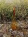 Vintage Empoli Italian blown glass carafe.