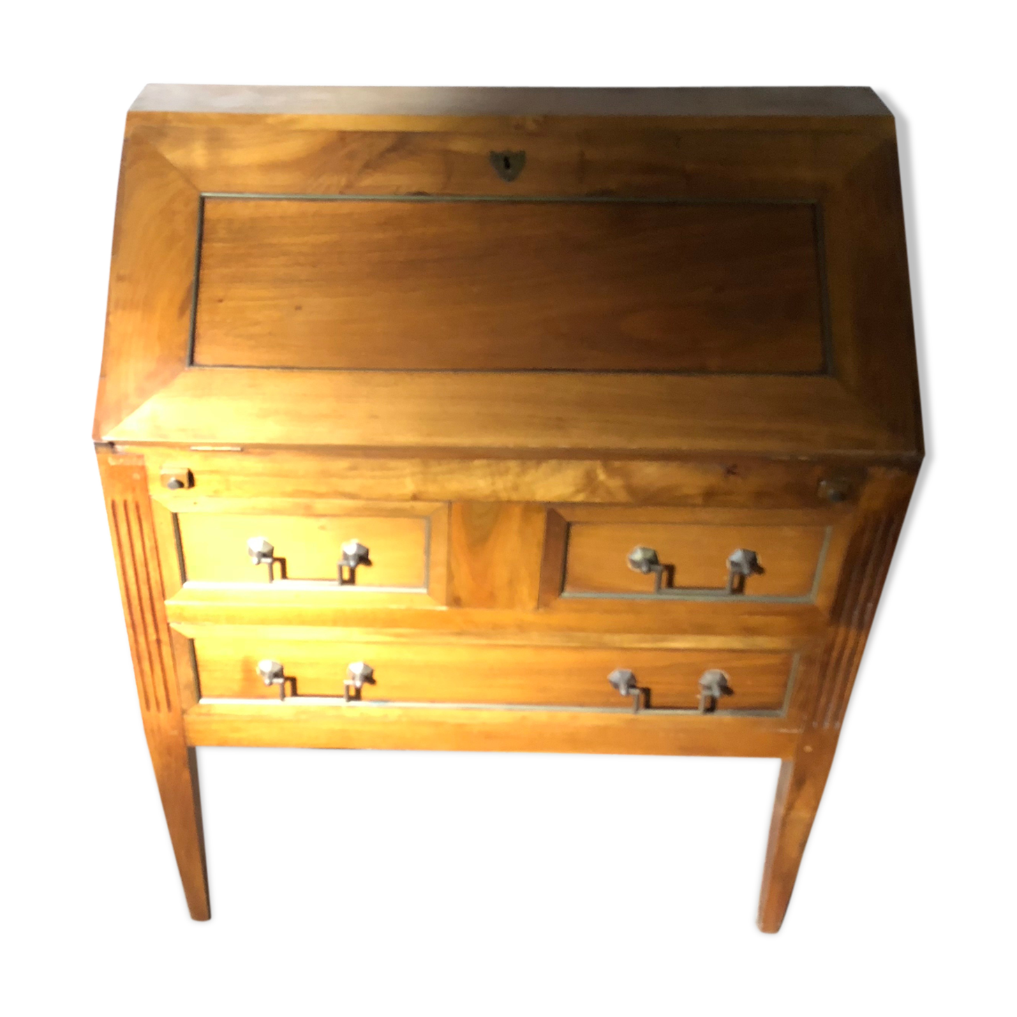 Secretary donkey back