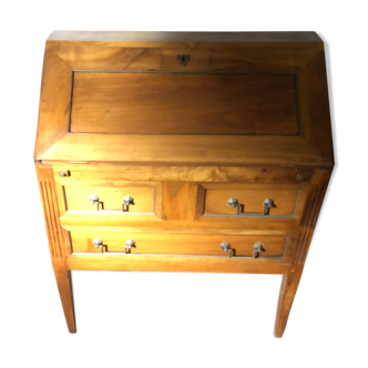 Secretary donkey back