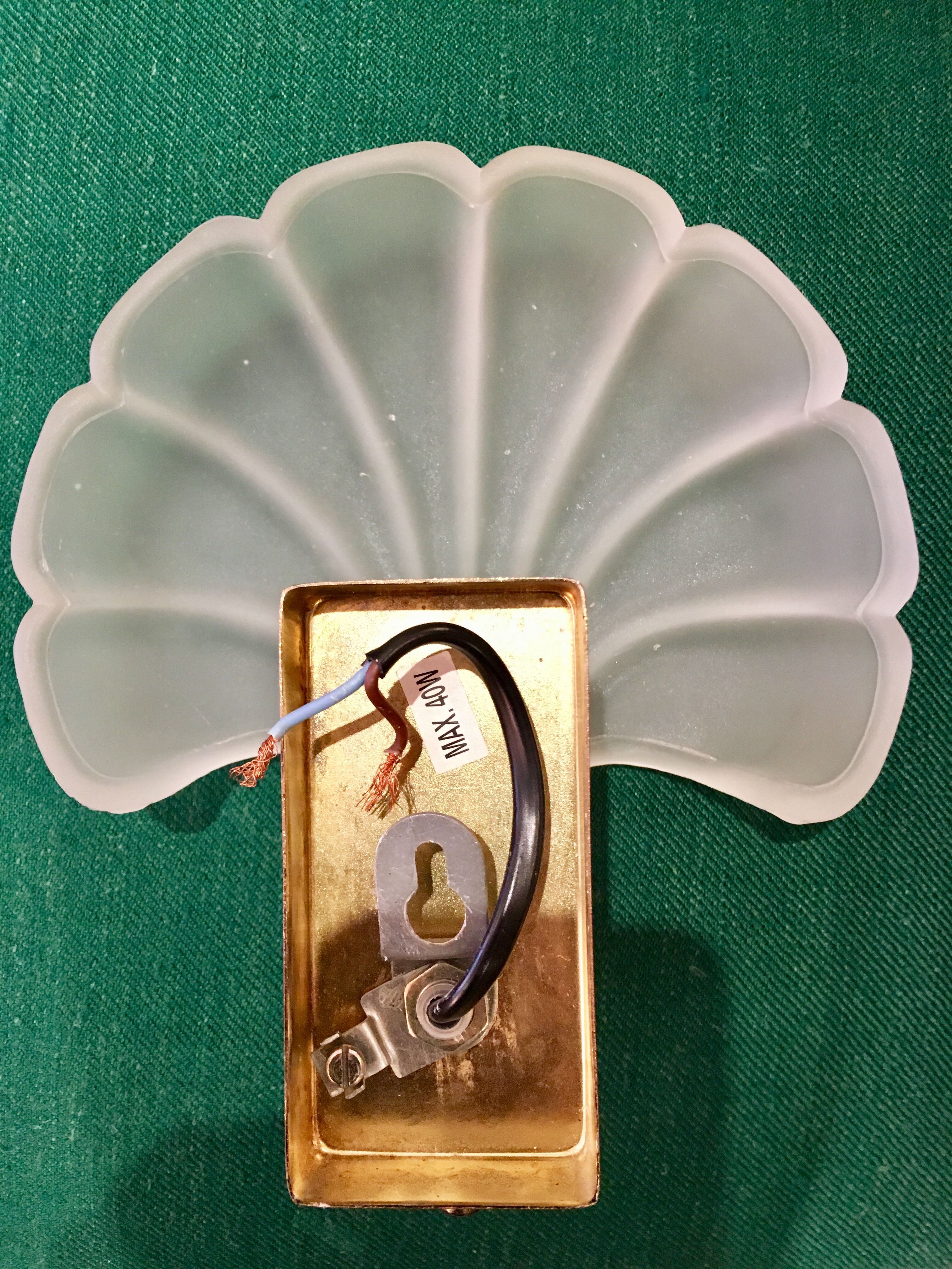 Shell wall lamp