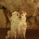 Ceramic dog statue