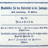 Affiche "rhino"  lithographie Karl Jansky Böhmen 1897