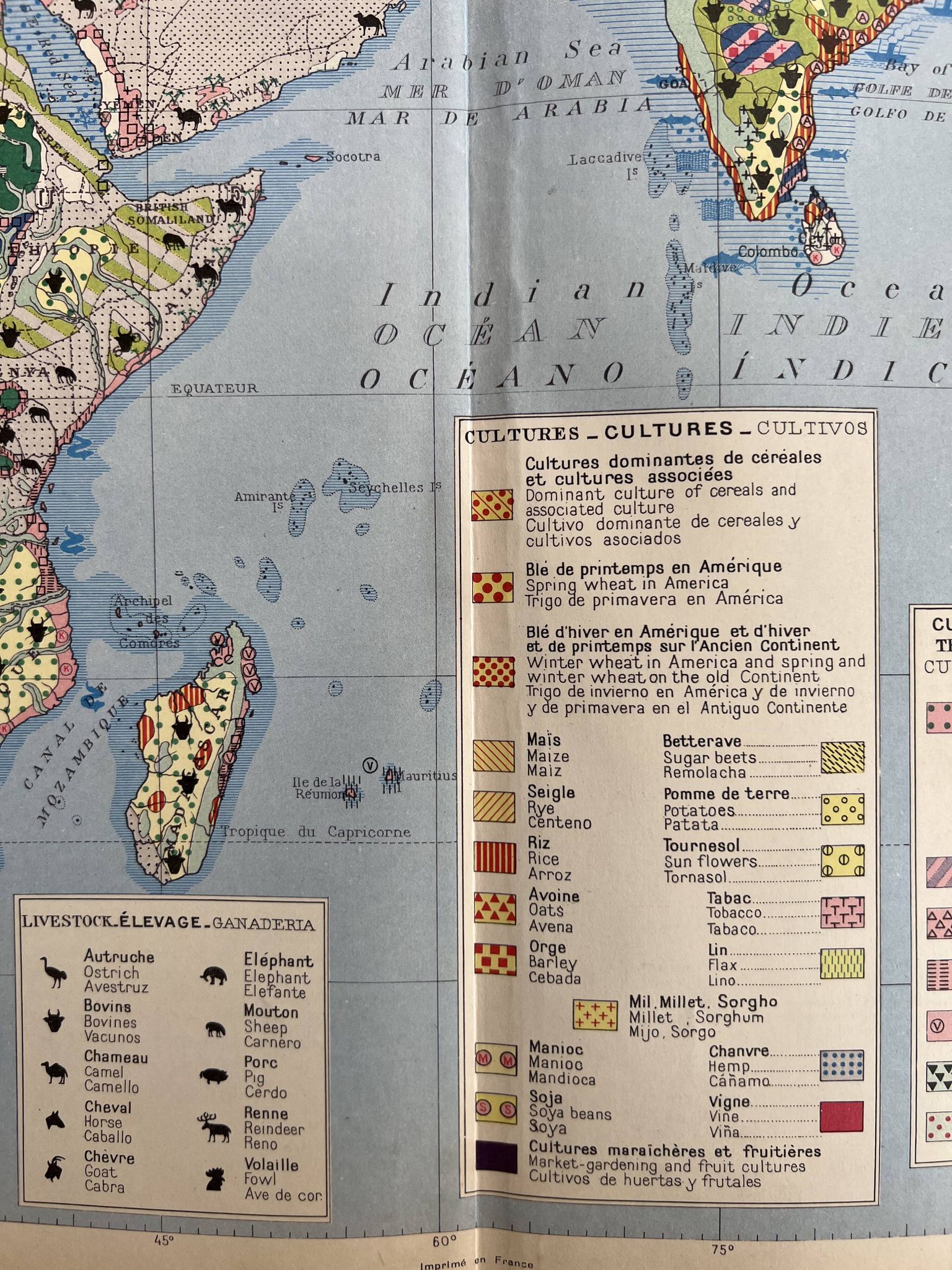 Carte agricole ancienne Ancien Continent — Végétation, Cultures, Éleva