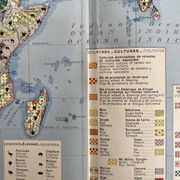 Carte agricole ancienne Ancien Continent — Végétation, Cultures, Éleva