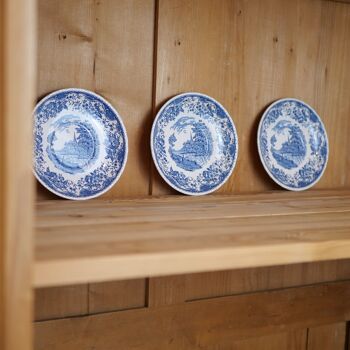 Assiettes Royal Tudor Ware