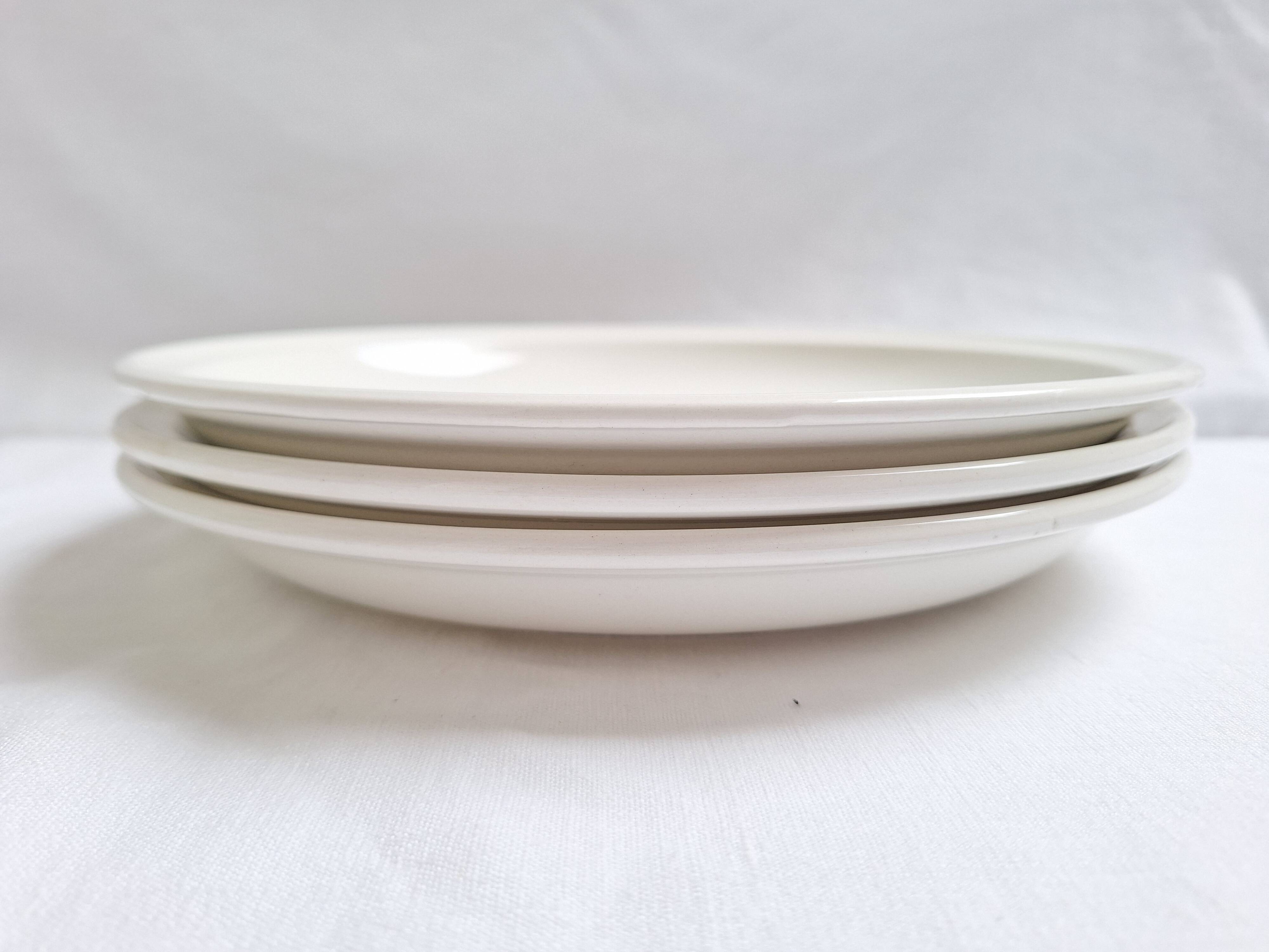 Assiettes plates moulin bleu vintage
