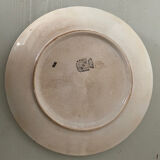 Set of 6 flat plates