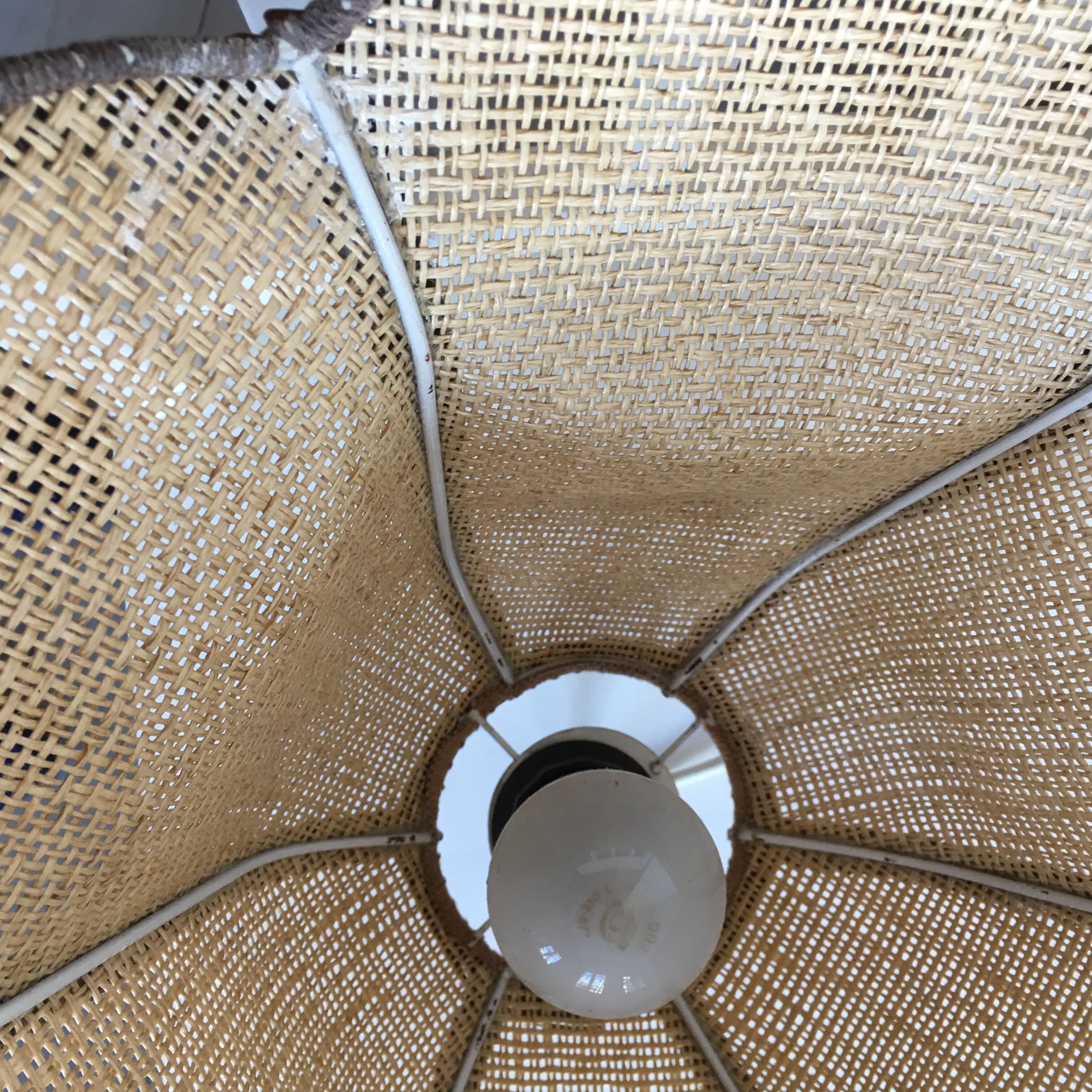 Hanging in wicker and rope-shaped petals