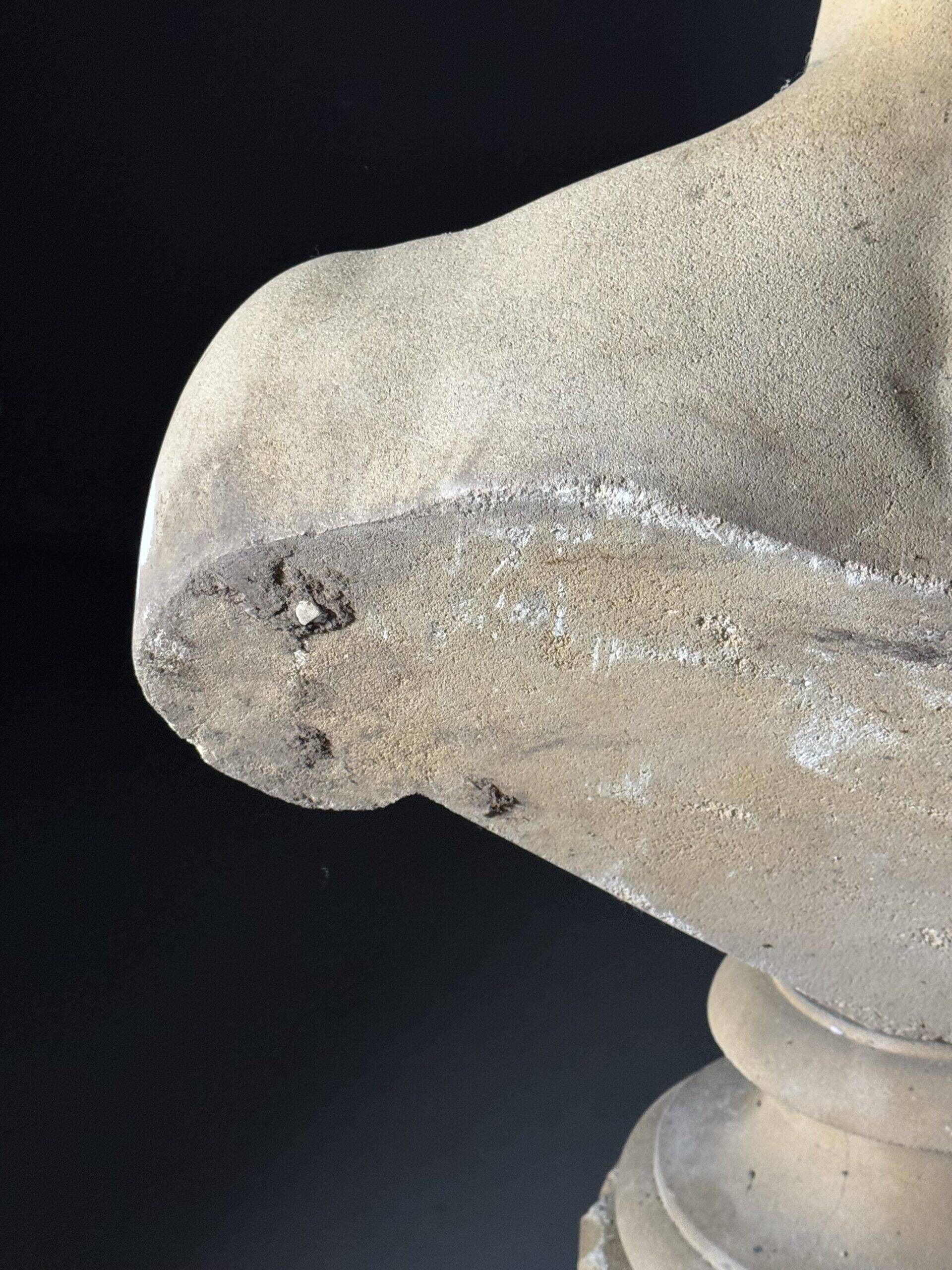 Bust on pedestal 20th century Antinous
