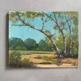 Old painting D.G. Campbell