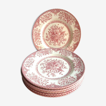 set of 6 dessert or entremet plates, pink floral décor