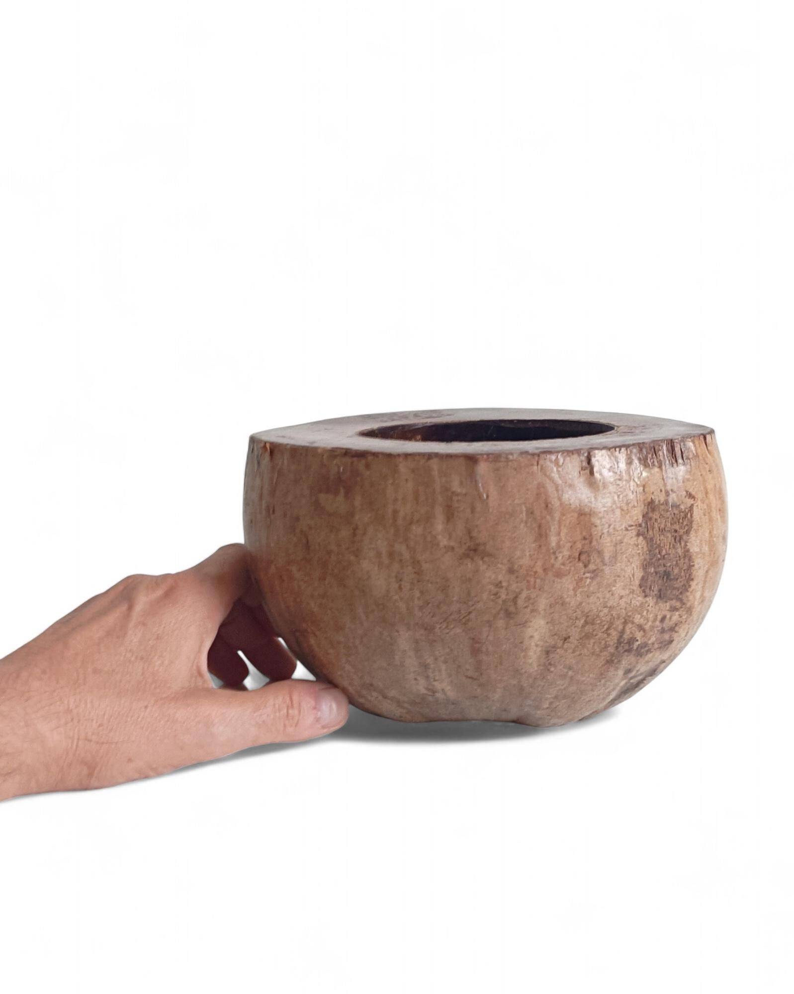 Wabi Sabi Organic Modern Coco de Mer Centerpiece, Hand-Carved, 19th C.