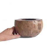 Wabi Sabi Organic Modern Coco de Mer Centerpiece, Hand-Carved, 19th C.