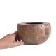Wabi Sabi Organic Modern Coco de Mer Centerpiece, Hand-Carved, 19th C.