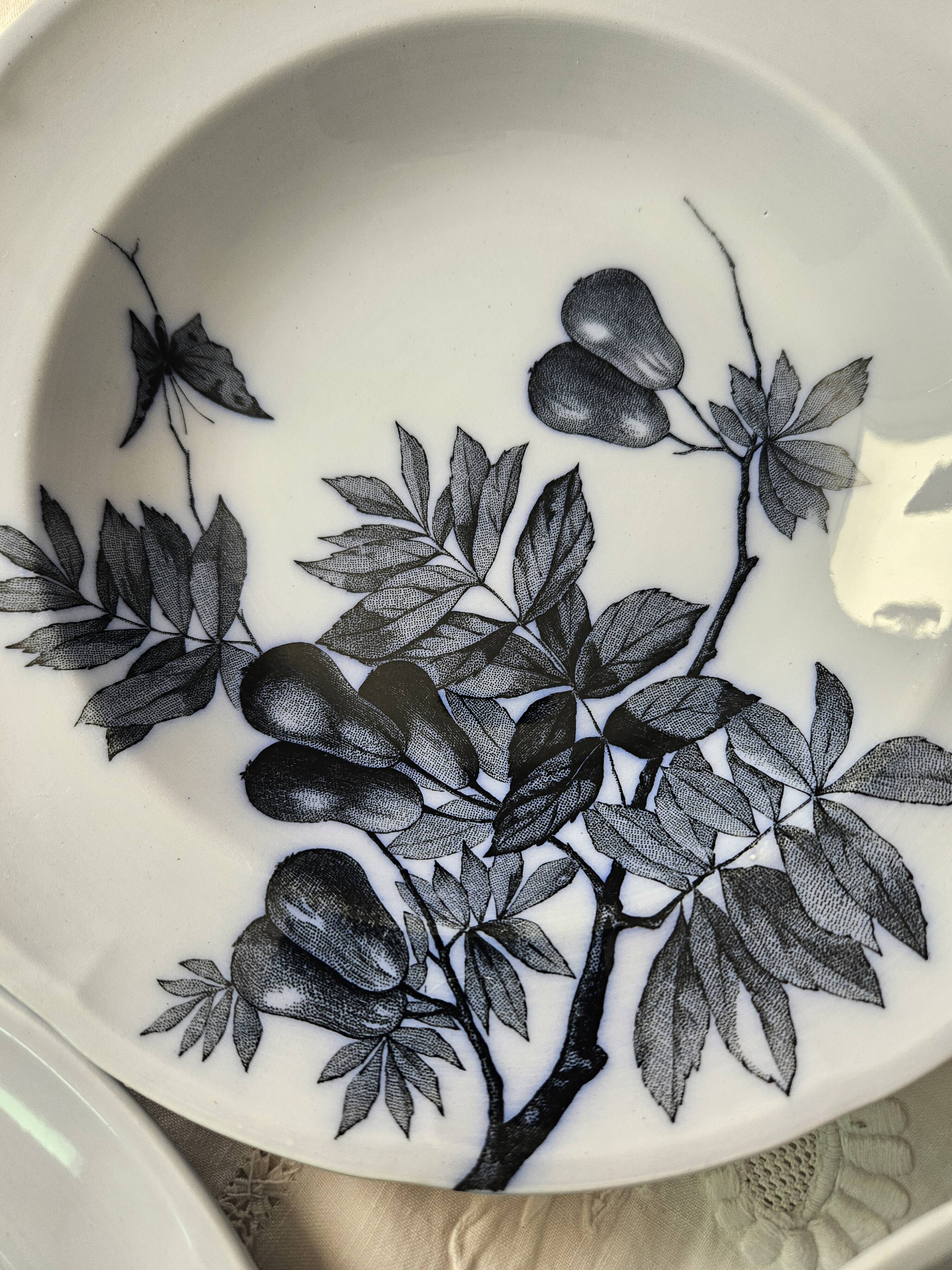 6 Longwy plates model Flowers