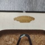 Formica pendulum