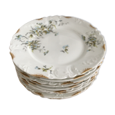 set of 9 plates Clématites porcelain Limoges Art Nouveau