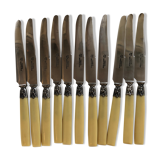 Cheese or dessert knives