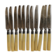 Cheese or dessert knives