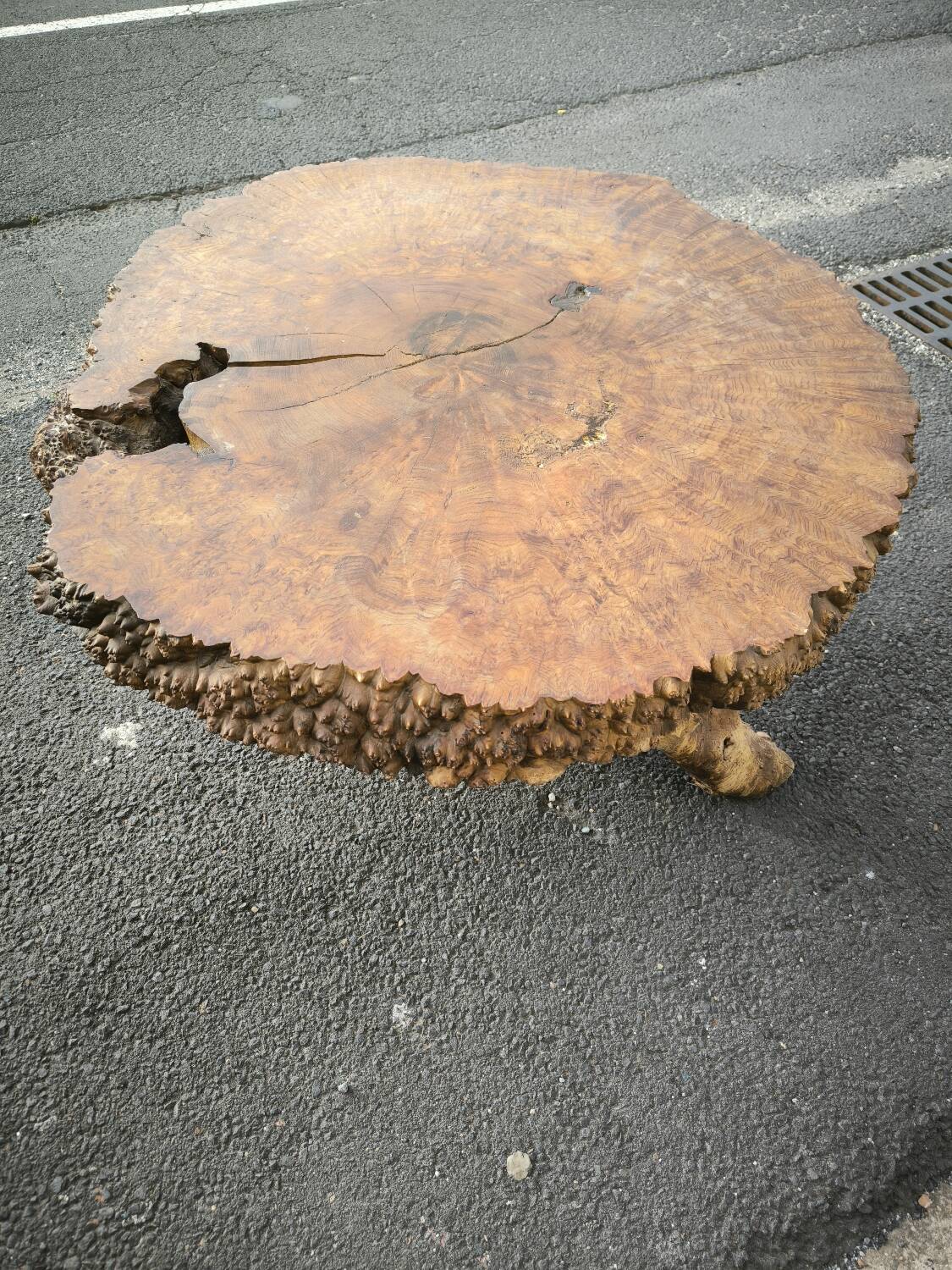 Brutalist coffee table in solid elm burl 108 cm diameter