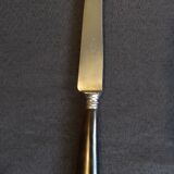 Box of 12 table knives, horn handles