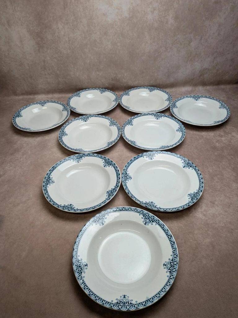 Set of 9 deep plates Terre de Fer St Amand model Andrinople