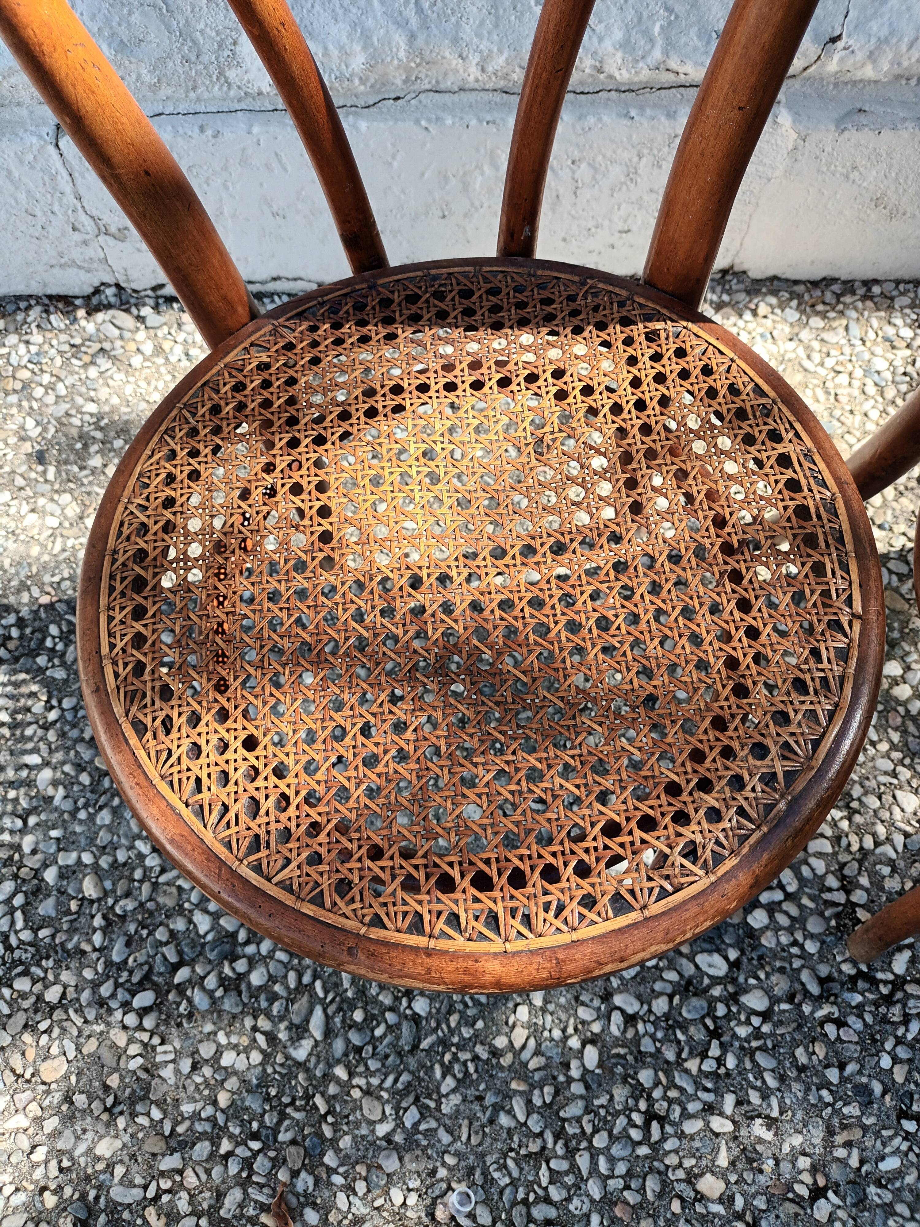 Canned chairs Thonet