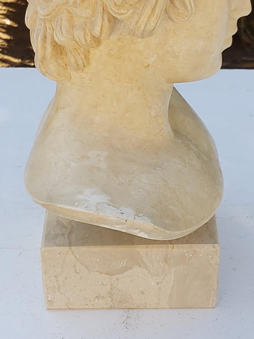 Plaster and marble bust