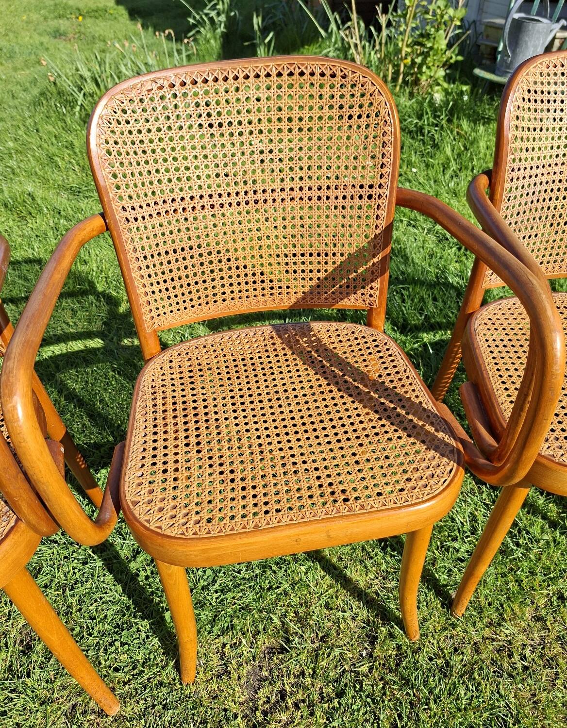 Lot de 4 fauteuils Prague 811 de Thonet