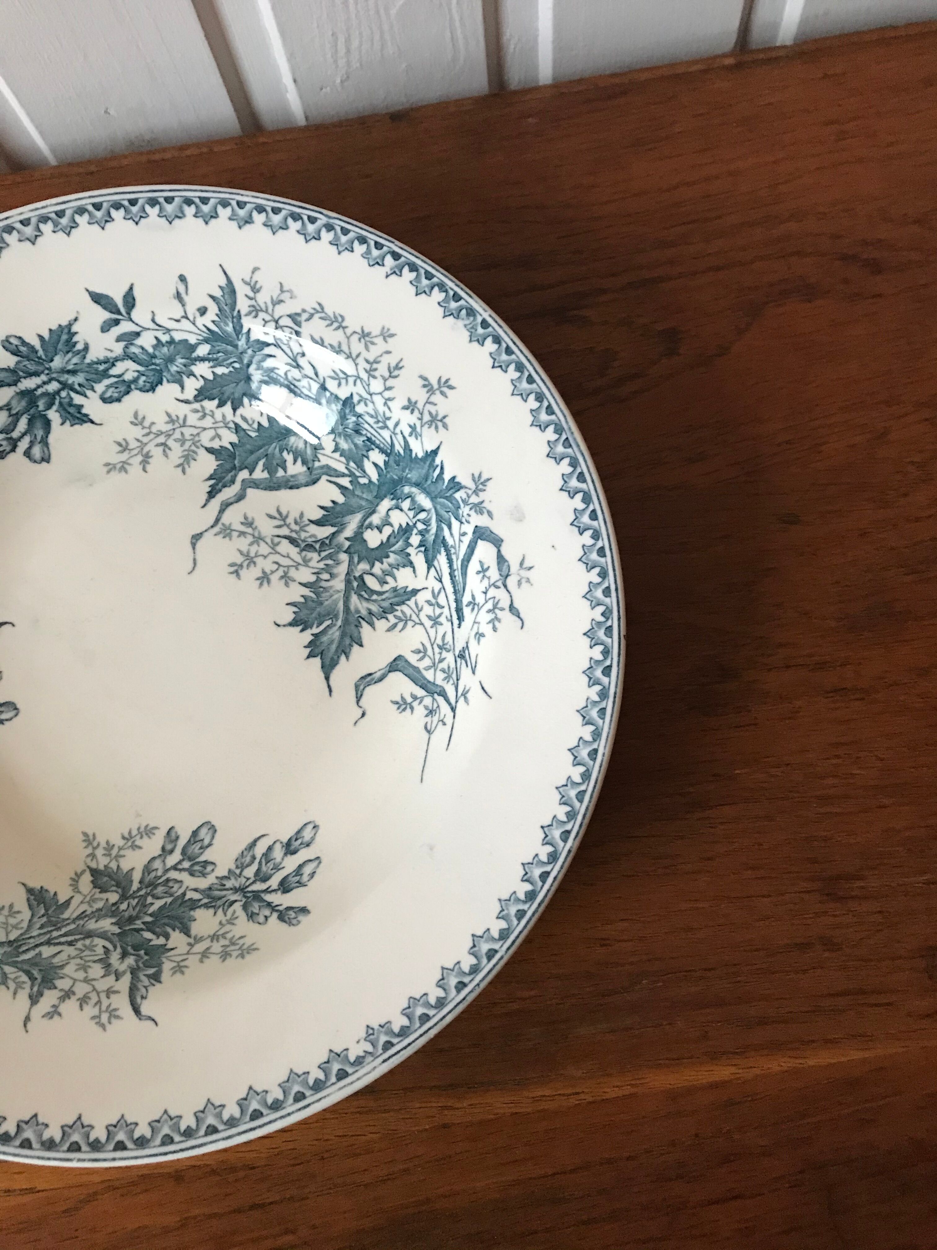 Saladier iron earth Thistle