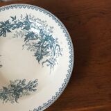 Saladier iron earth Thistle