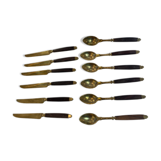 Box 6 spoons and 6 dessert knives