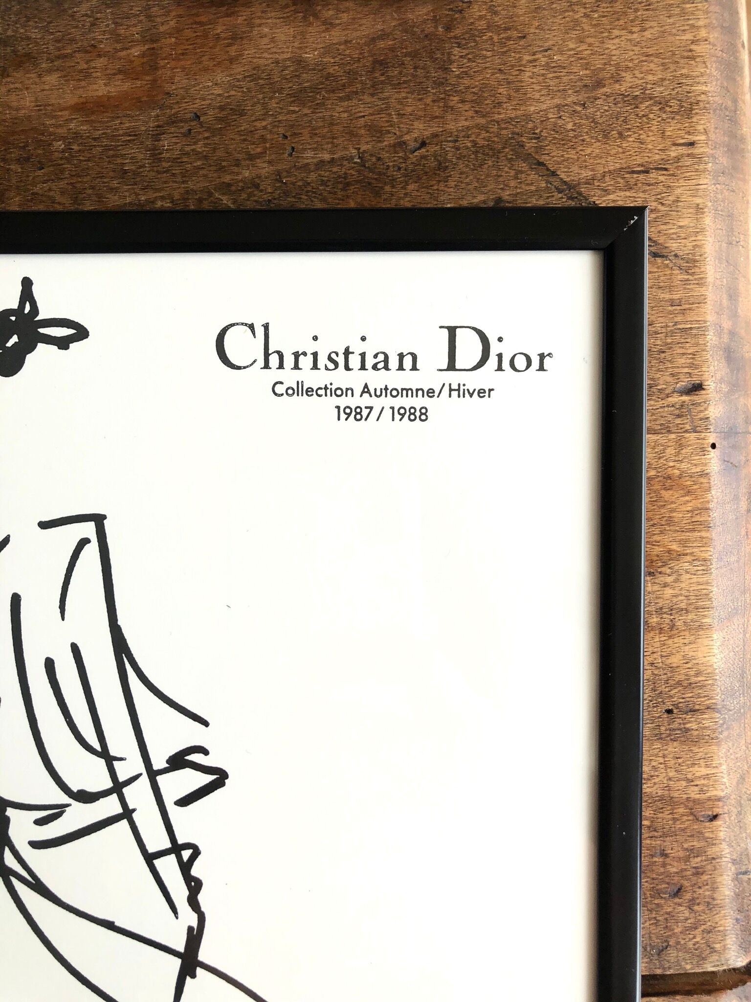 Christian Dior: fashion illustration