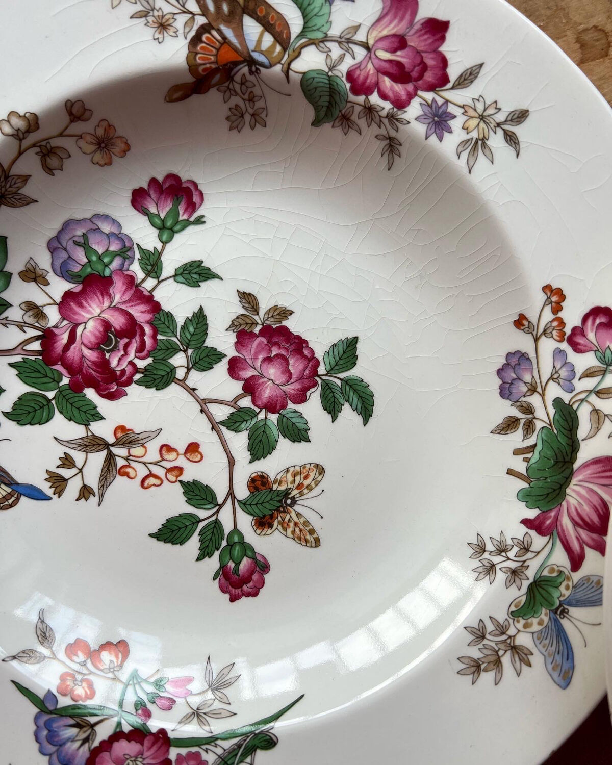 Hollow plates Wedgwood Charnwood