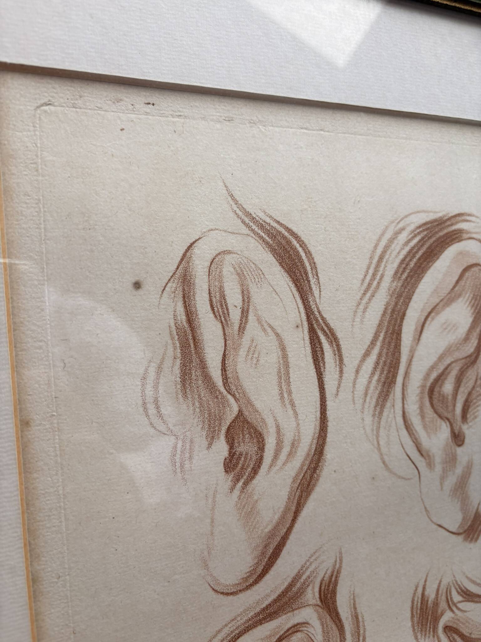 Old Print Engraving 19th Century Study of an Ear After Janinet Le Clerc