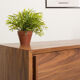 Oiled walnut TV stand equipped with 2 sliding doors and 3 drawers