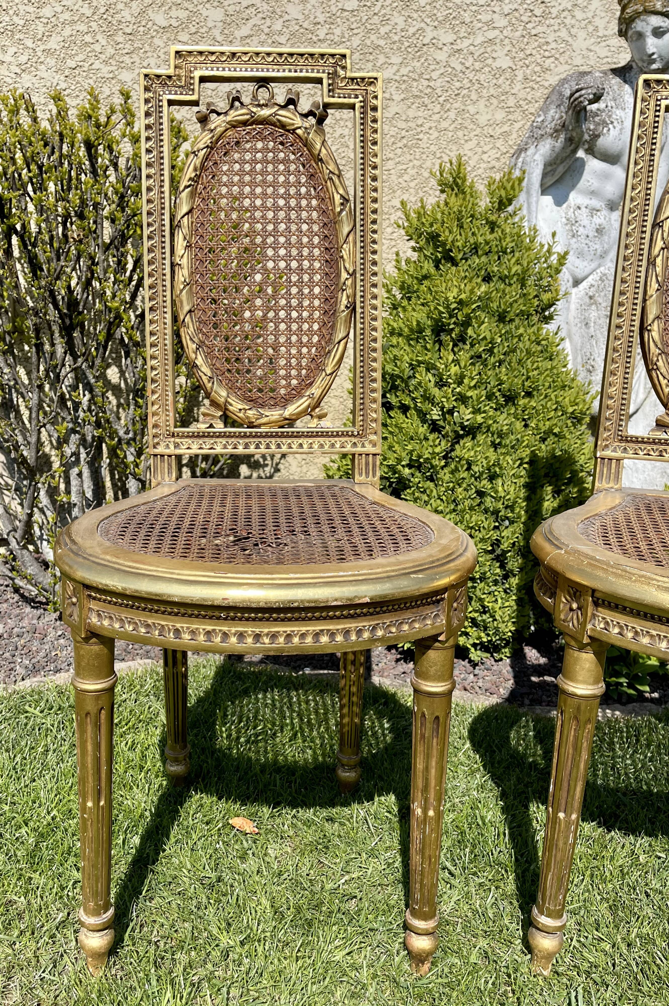 Pair of Golden Wood Chairs - Louis XVI Style Cannage
