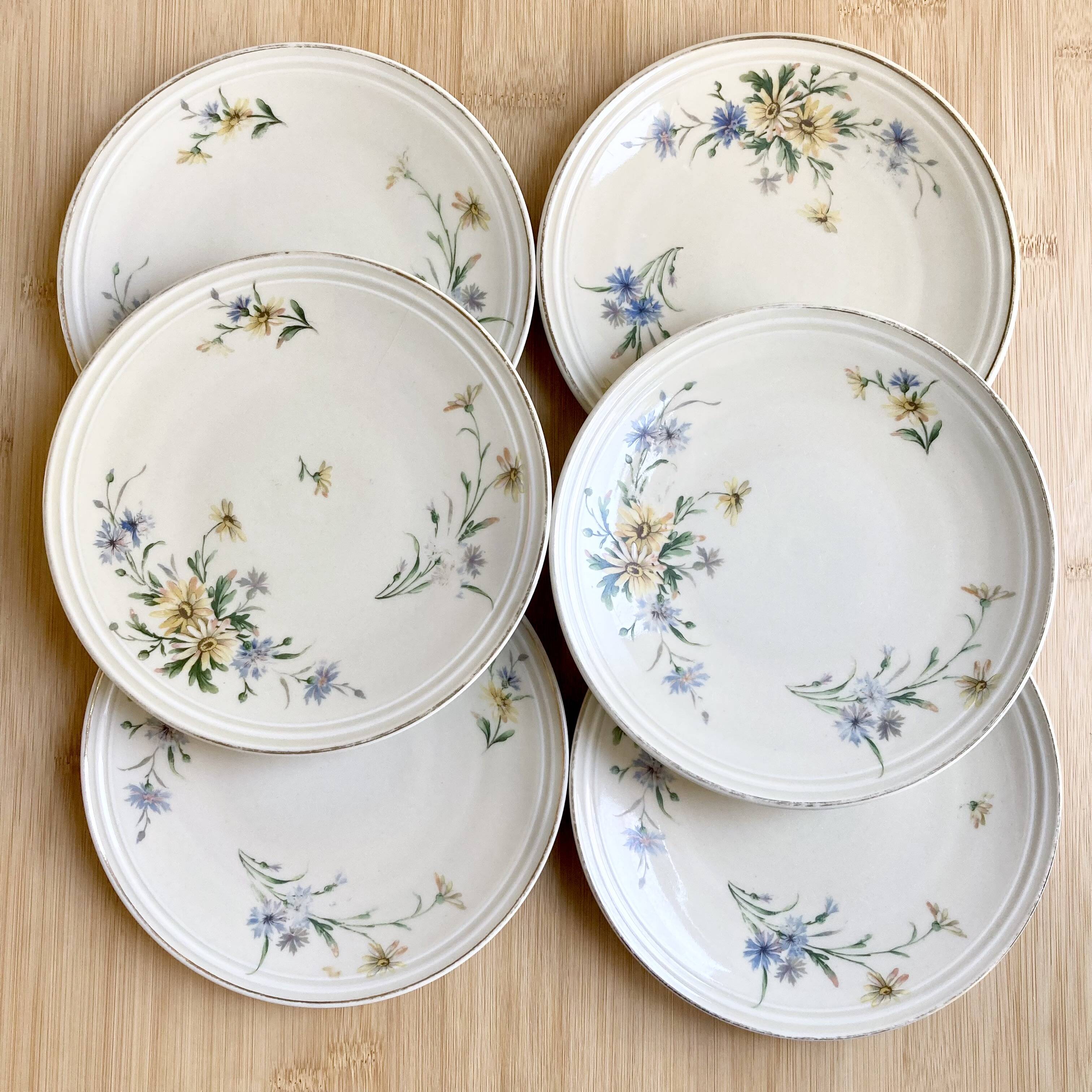 6 Limoges porcelain dessert plates 1915