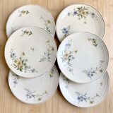 6 Limoges porcelain dessert plates 1915