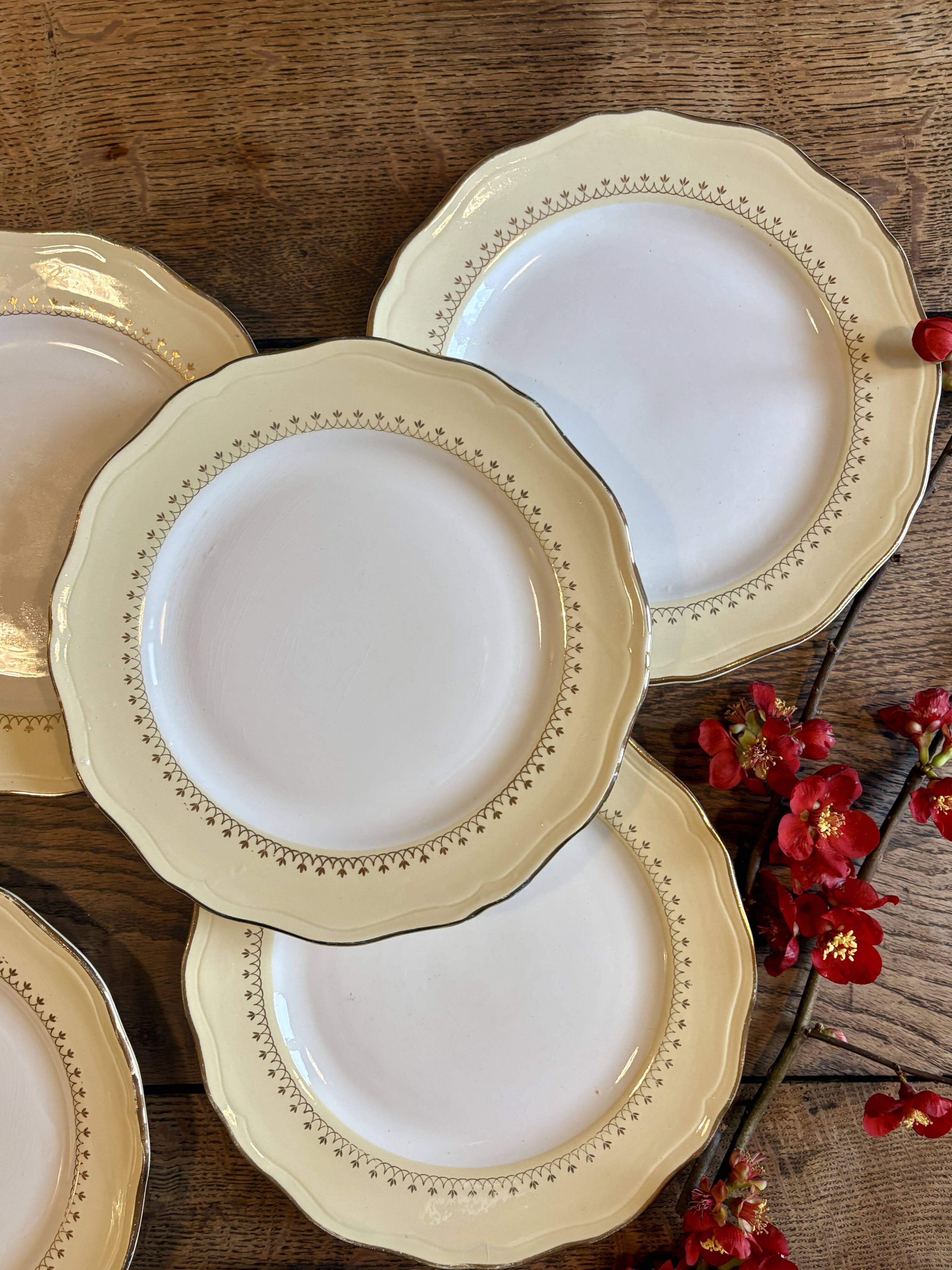 Set of 6 vintage white dinner plates with yellow and gold trim.