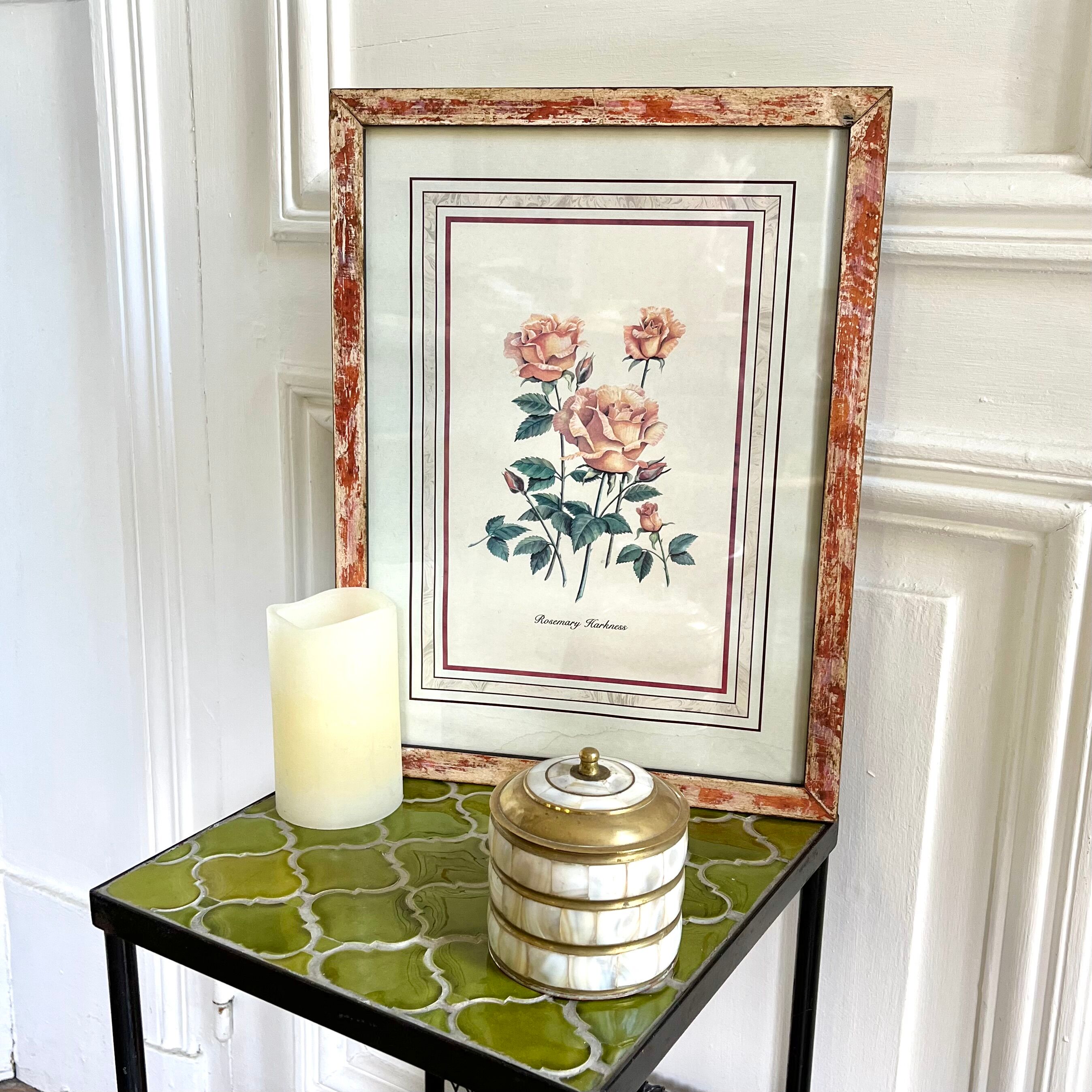 Botanical plate of roses under frame