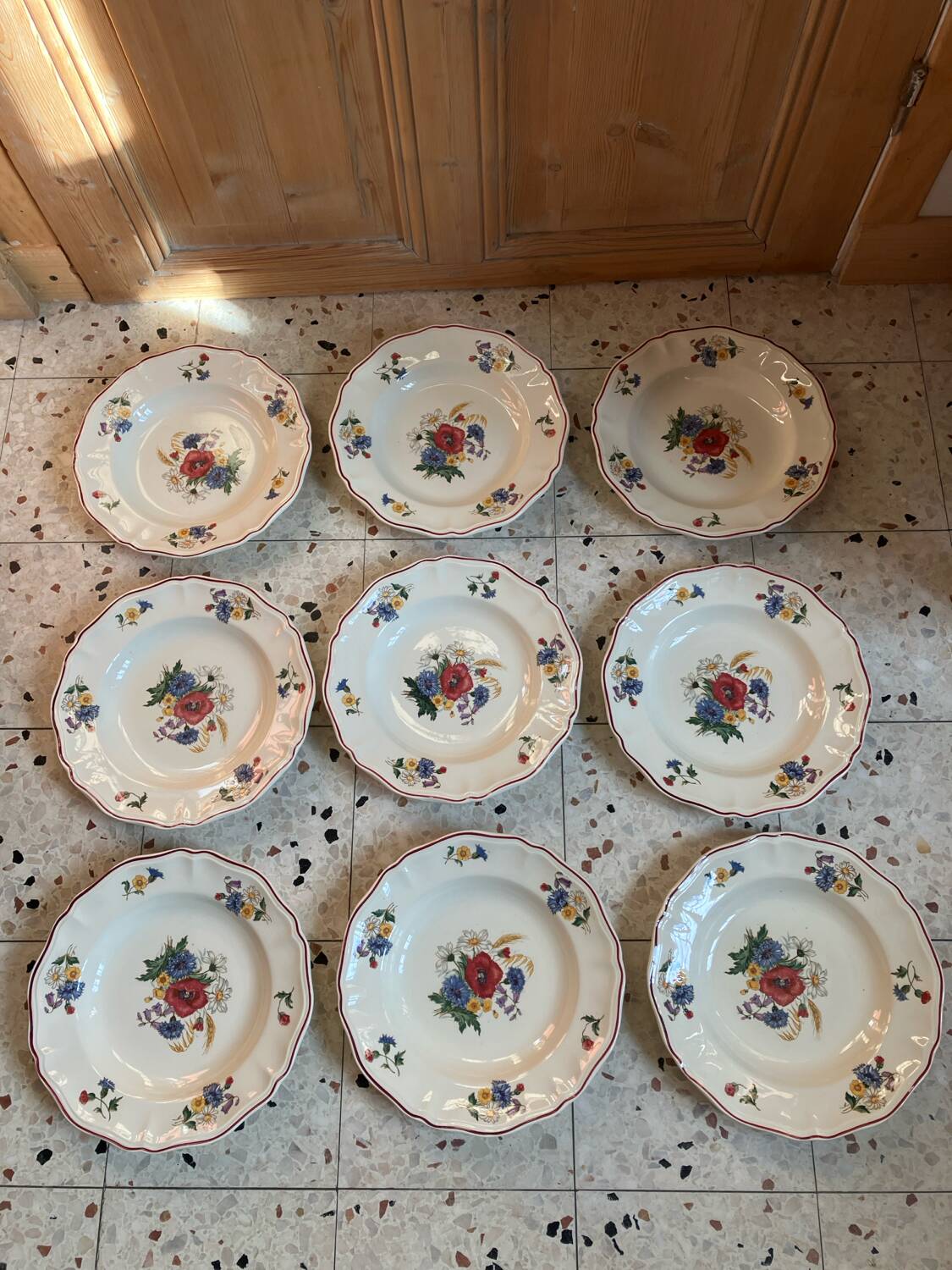 9 Sarreguemines soup plates