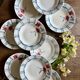 Set of 10 vintage deep plates from Digoin.