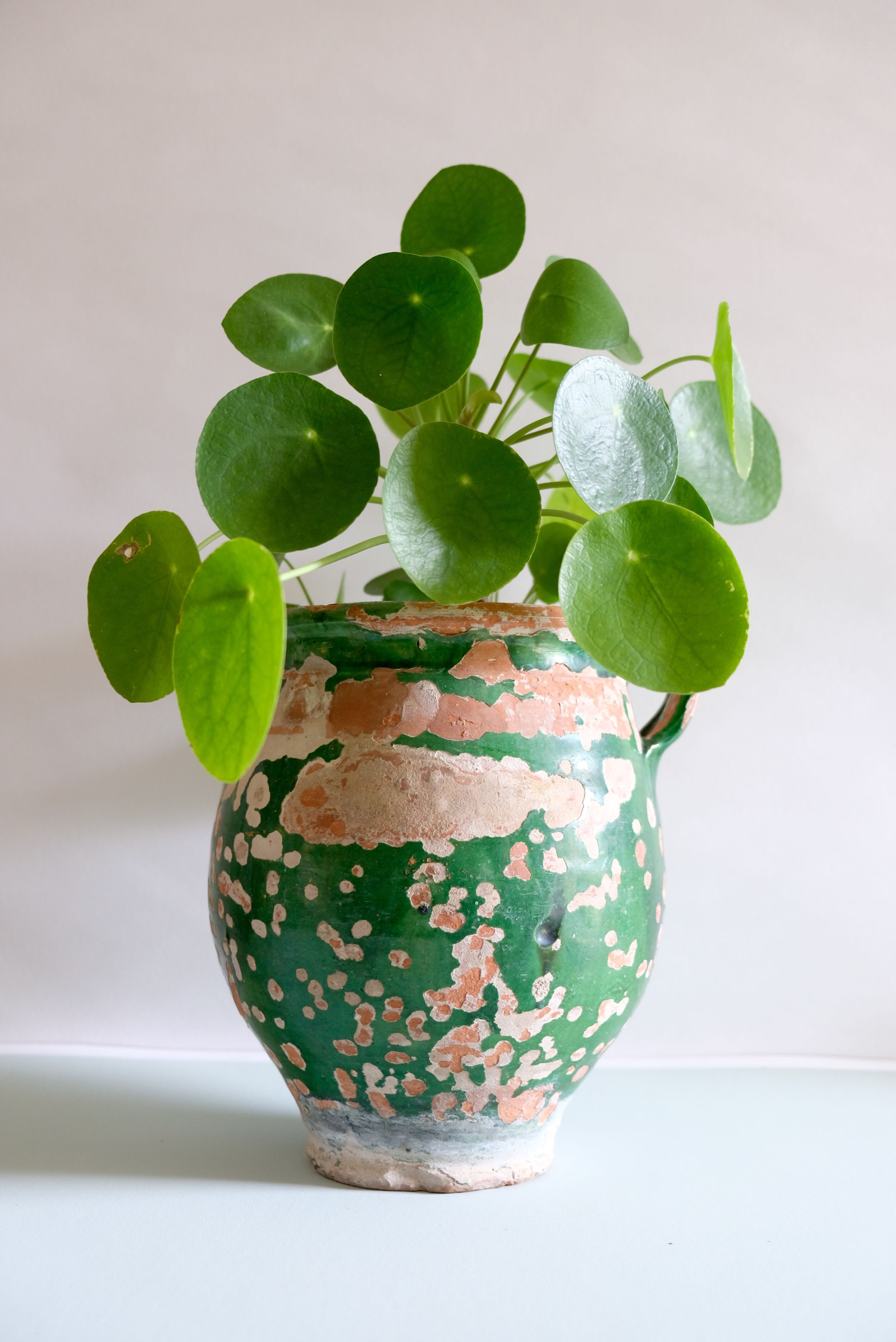 Ancient jar olive in provencal glazed terracotta, glazed green of the 19th century