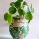 Ancient jar olive in provencal glazed terracotta, glazed green of the 19th century