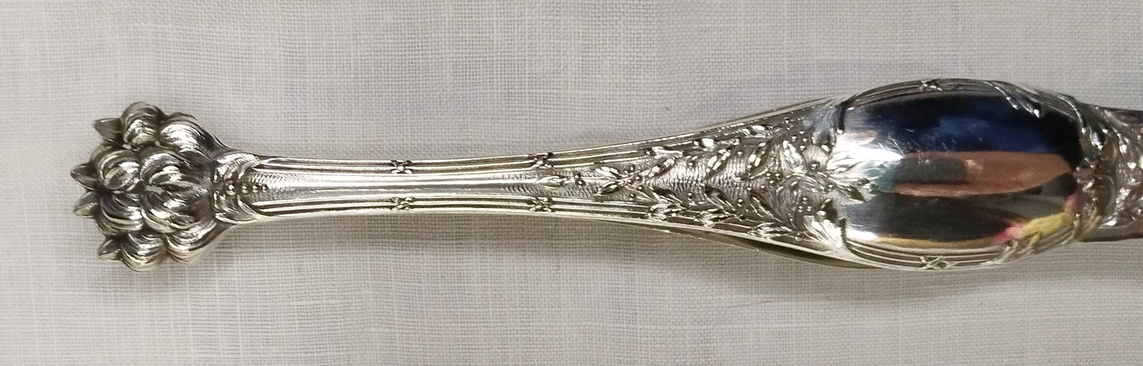 Silver ice tongs