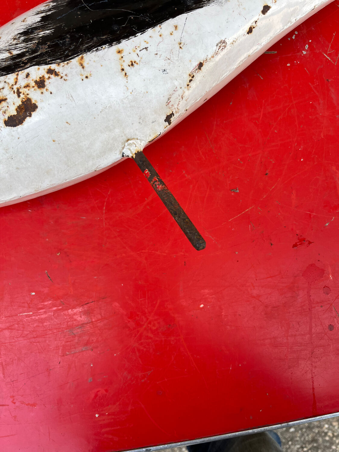 Stork plant guardian