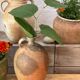 Terracotta jar