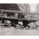 Old photo, "Children" theme, mid-20th century