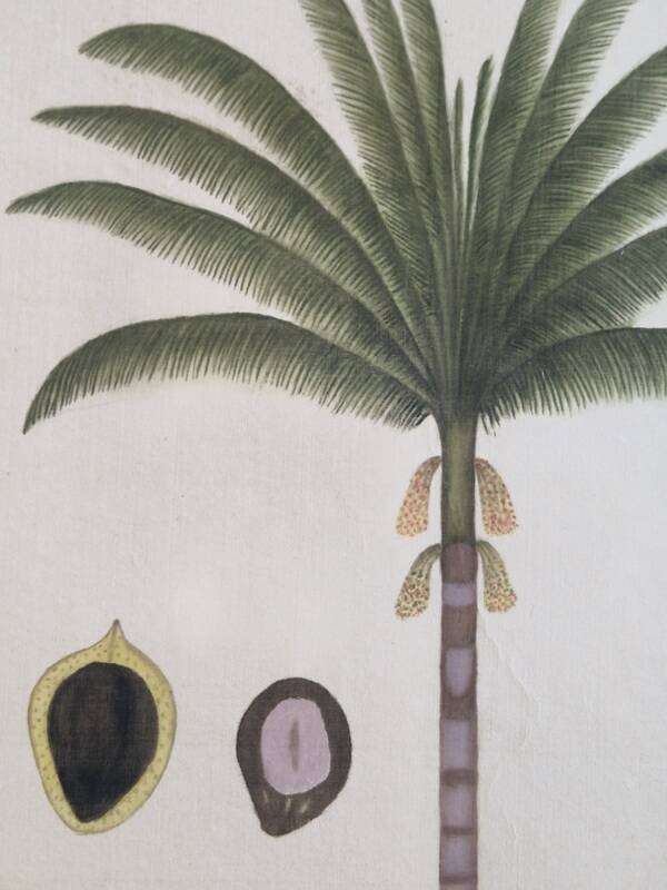La Roche Laffitte (Born in 1943) - Watercolour drawing on silk - Palm tree